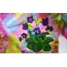 Foulard "Printemps"